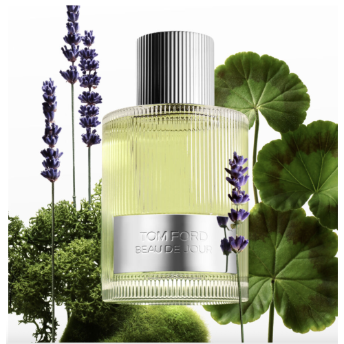 BEAU DE JOUR edp vapo 100 ml