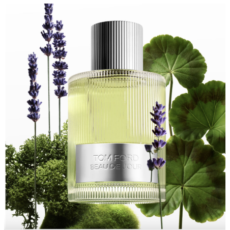 BEAU DE JOUR edp vapo 100 ml