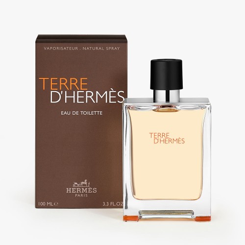 TERRE D'HERMÈS eau de toilette vaporisateur 100 ml
